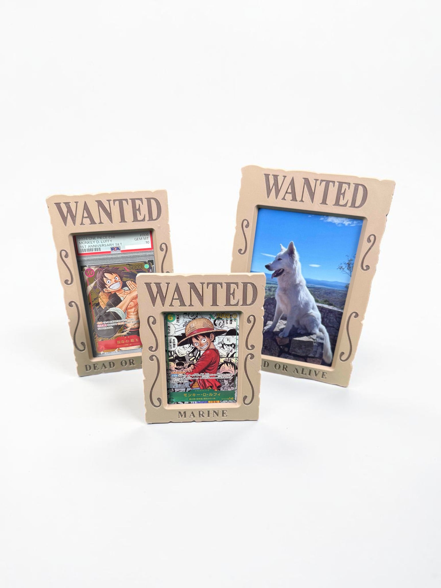 CARDBOY One Piece Card Holder (for Toploader, Mag Case,Graded and 4x6 Photos) 3d model