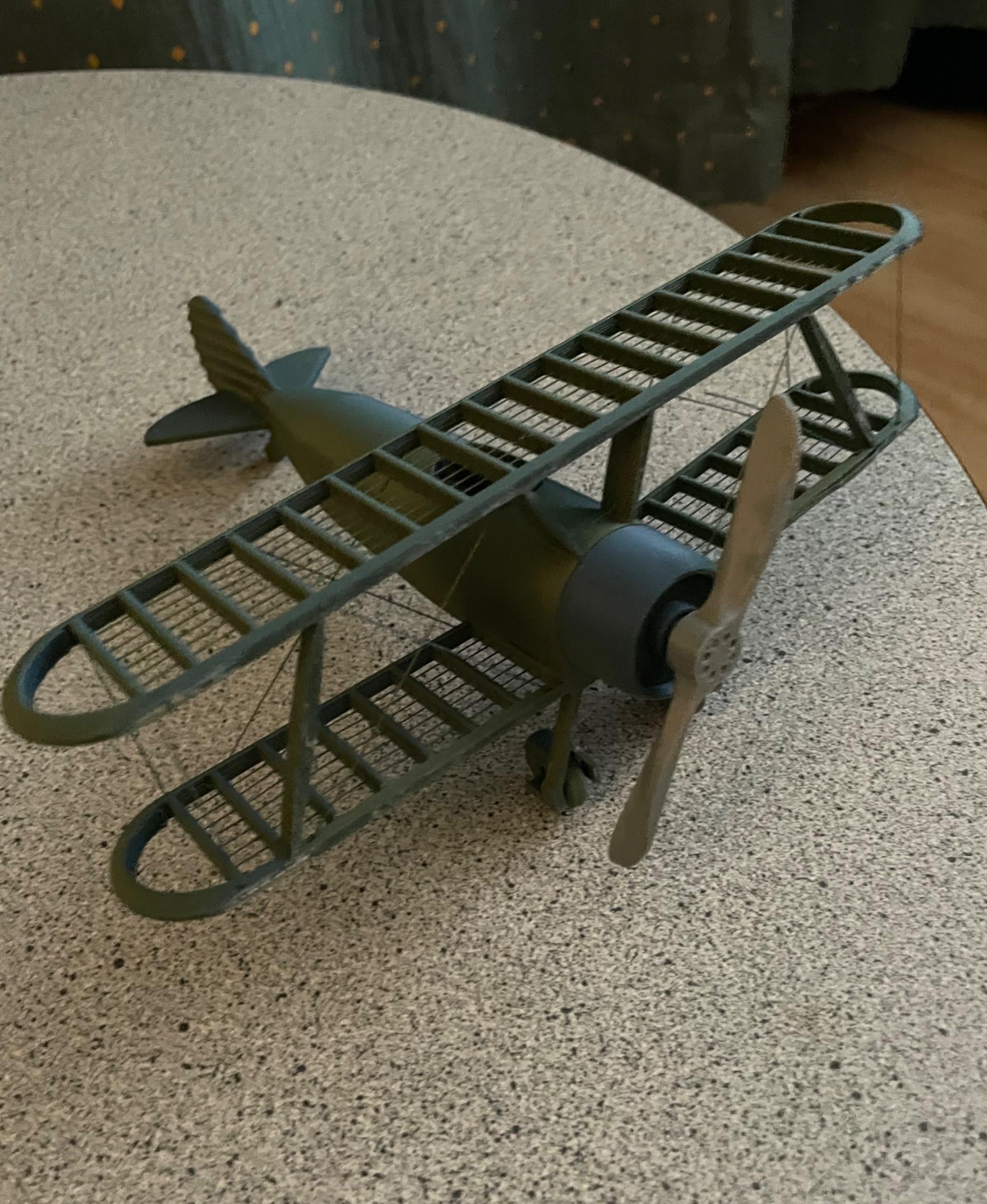 String Biplane:  No Supports 3d model