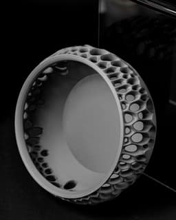 Virus Catch-all Bowl by MODERN MACHINE 3d model