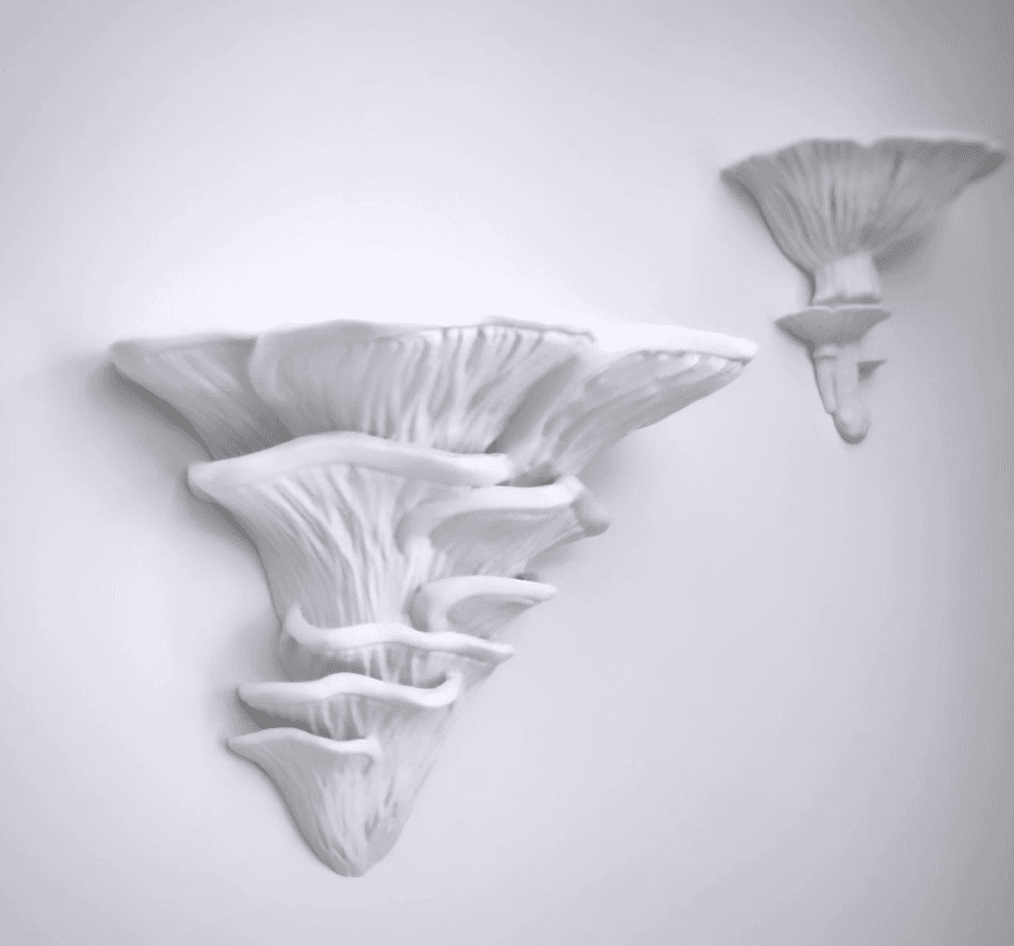 Wall shelf “Djamor Fungus” - printed in white PLA  - 3d model