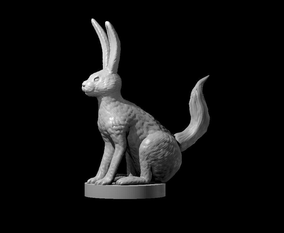 Long Tail Jack Rabbit 3d model