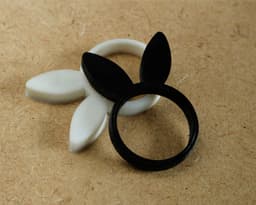 Rabbit ring 3d model