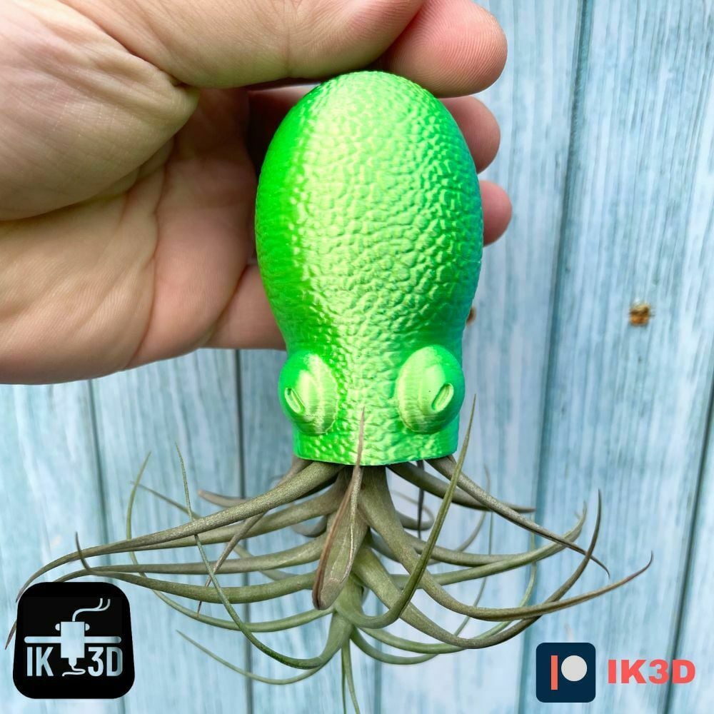 Hanging Octopus Air Plant Holder 3d model