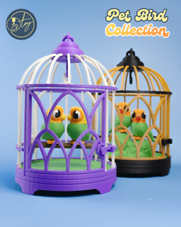 Pet Bird Collection 3d model