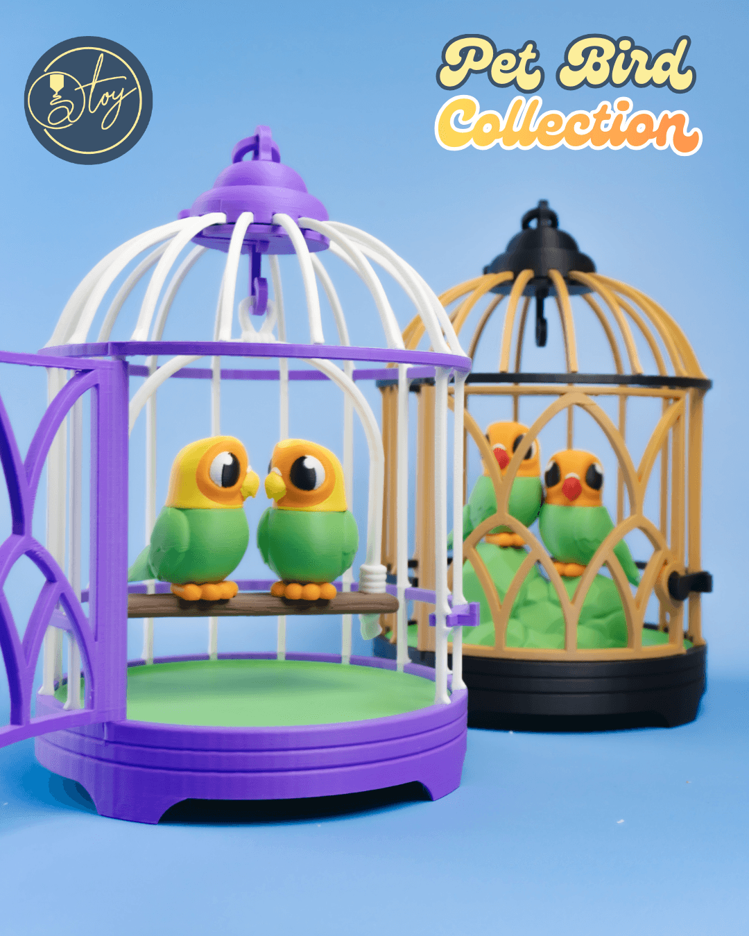Pet Bird Collection 3d model