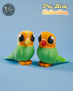 Pet Bird Collection 3d model