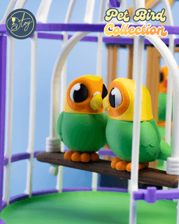 Pet Bird Collection 3d model
