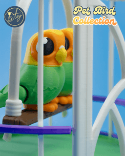 Pet Bird Collection 3d model