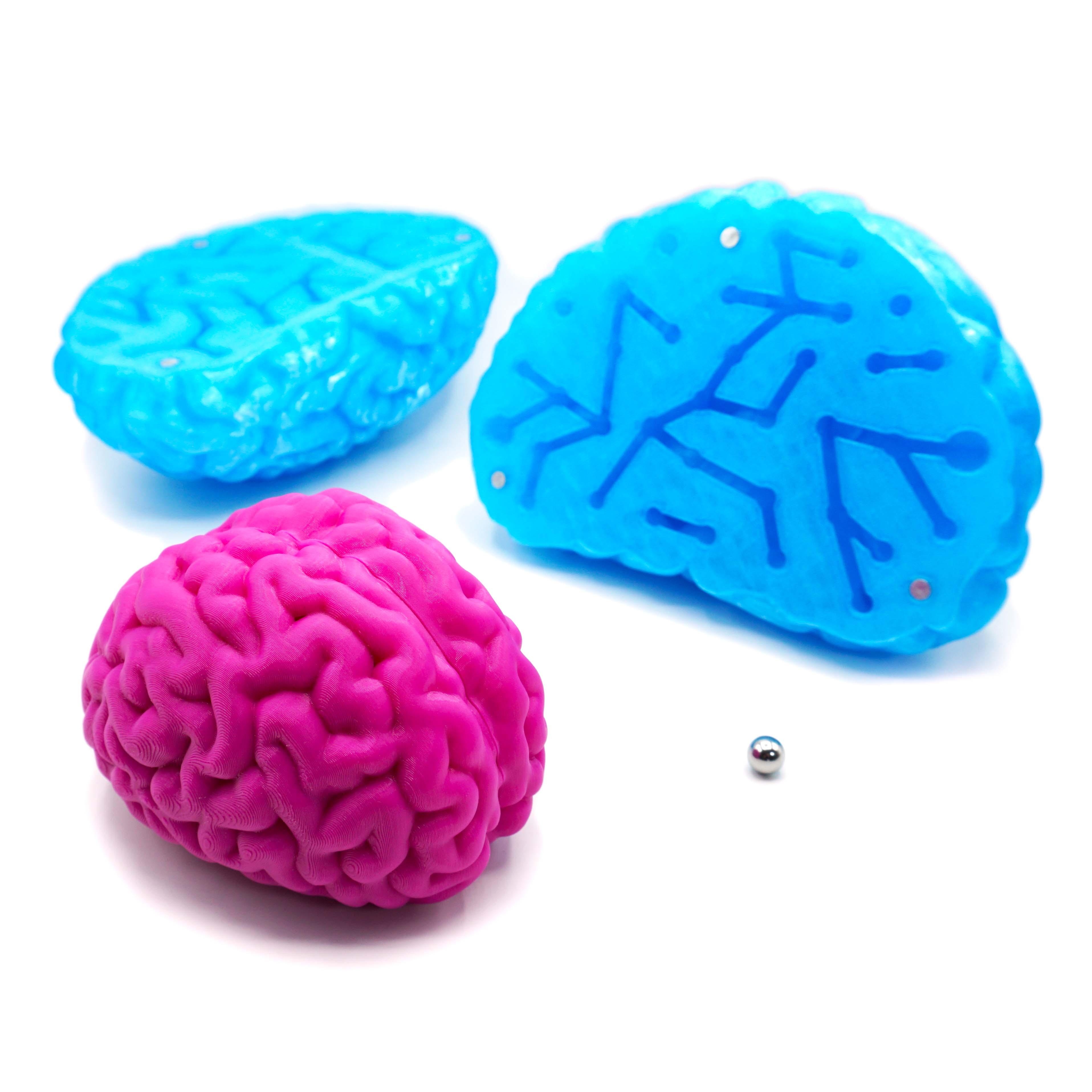 Brain Constellation Maze 3d model
