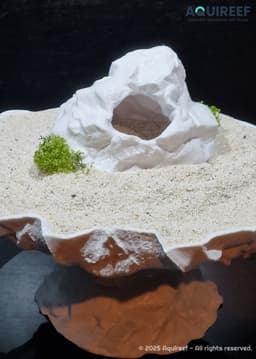 Aquarium & Terrarium Rock type Cave | Fish, Reptile, Lizard, Insect, Spider Refuge Shelter 3d model