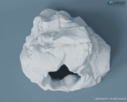 Aquarium & Terrarium Rock type Cave | Fish, Reptile, Lizard, Insect, Spider Refuge Shelter 3d model
