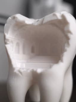 Tooth artwork 3d model