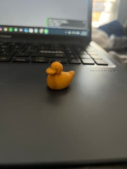 A Tiny Duck 3d model