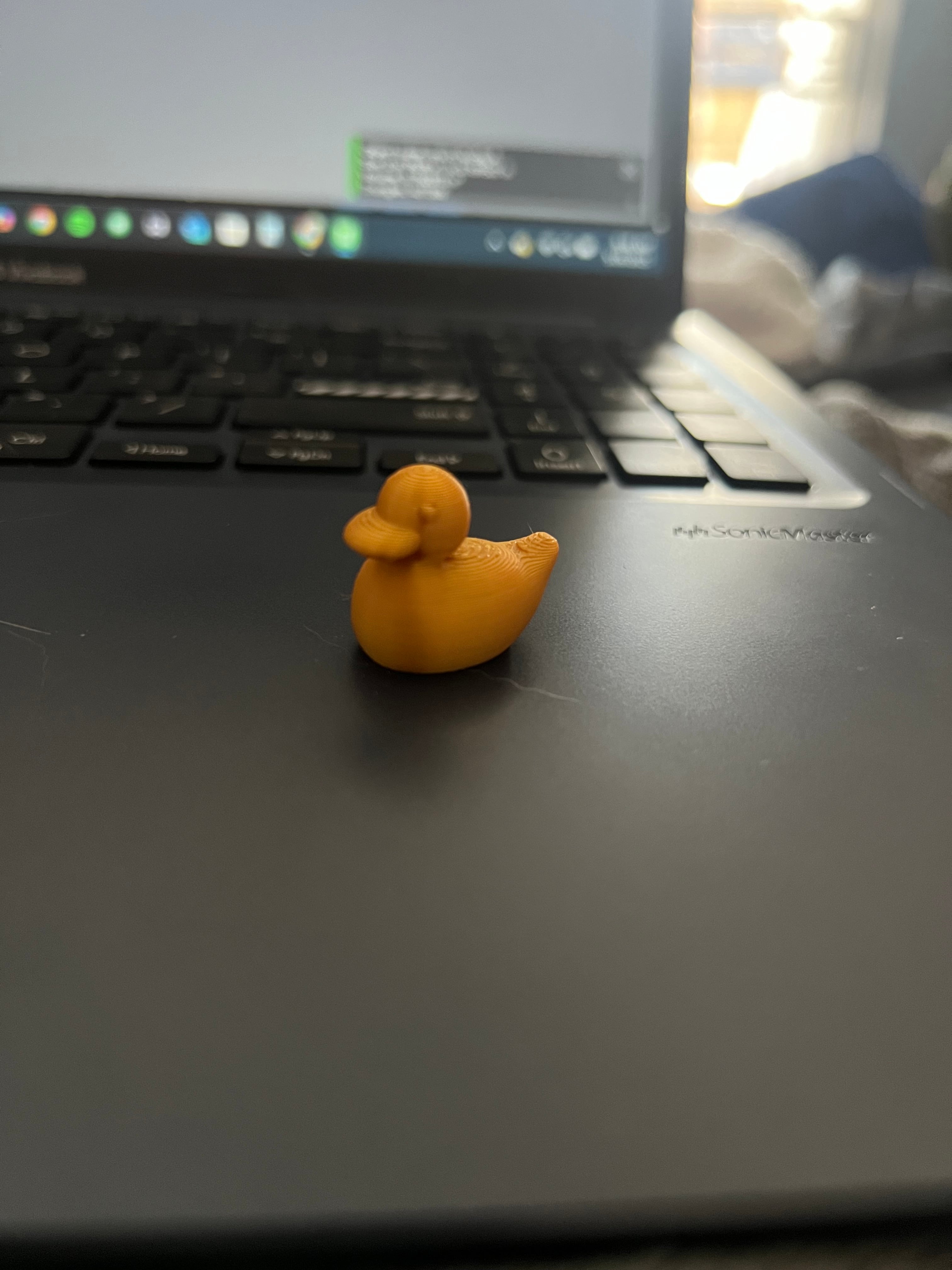 A Tiny Duck 3d model