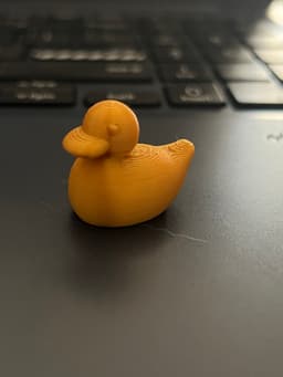 A Tiny Duck 3d model