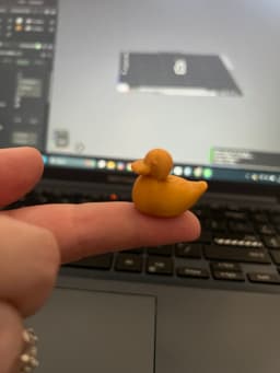 A Tiny Duck 3d model