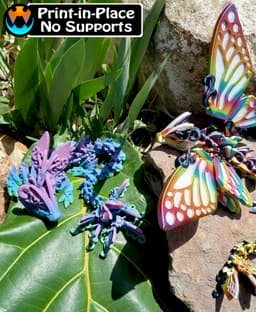 Butterfly Dragon 3d model