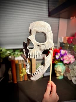 Vampire skull mask 3d model