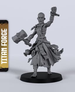 Crusade Fanatics - With Free Dragon - 5e DnD Inspired for RPG and Wargamers 3d model