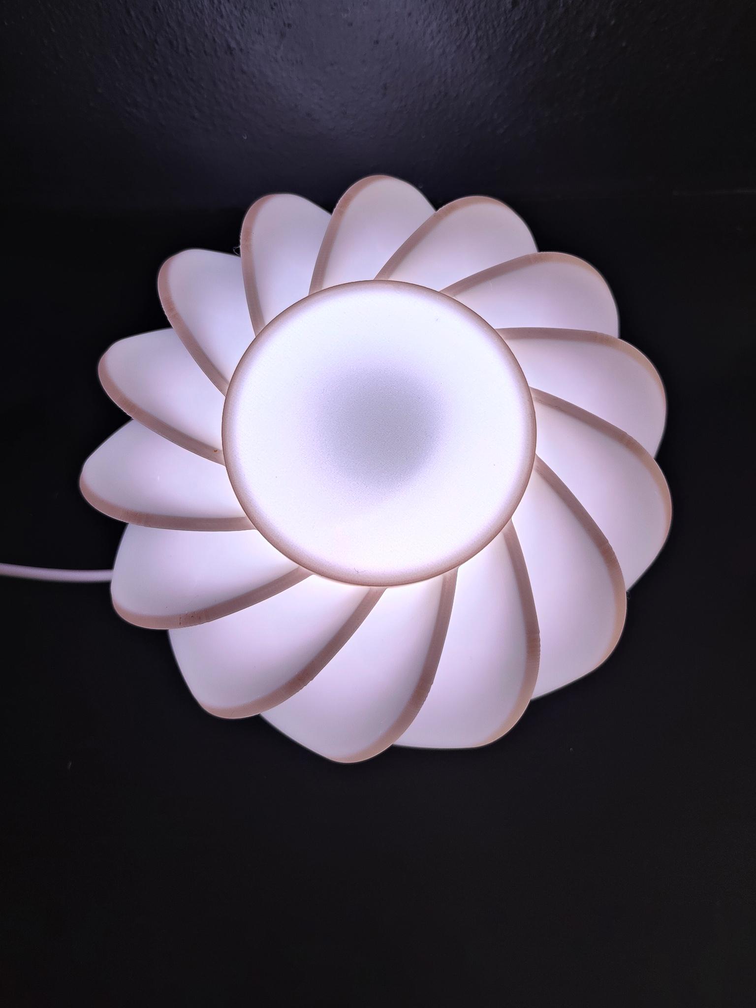Fan Lamp 3d model