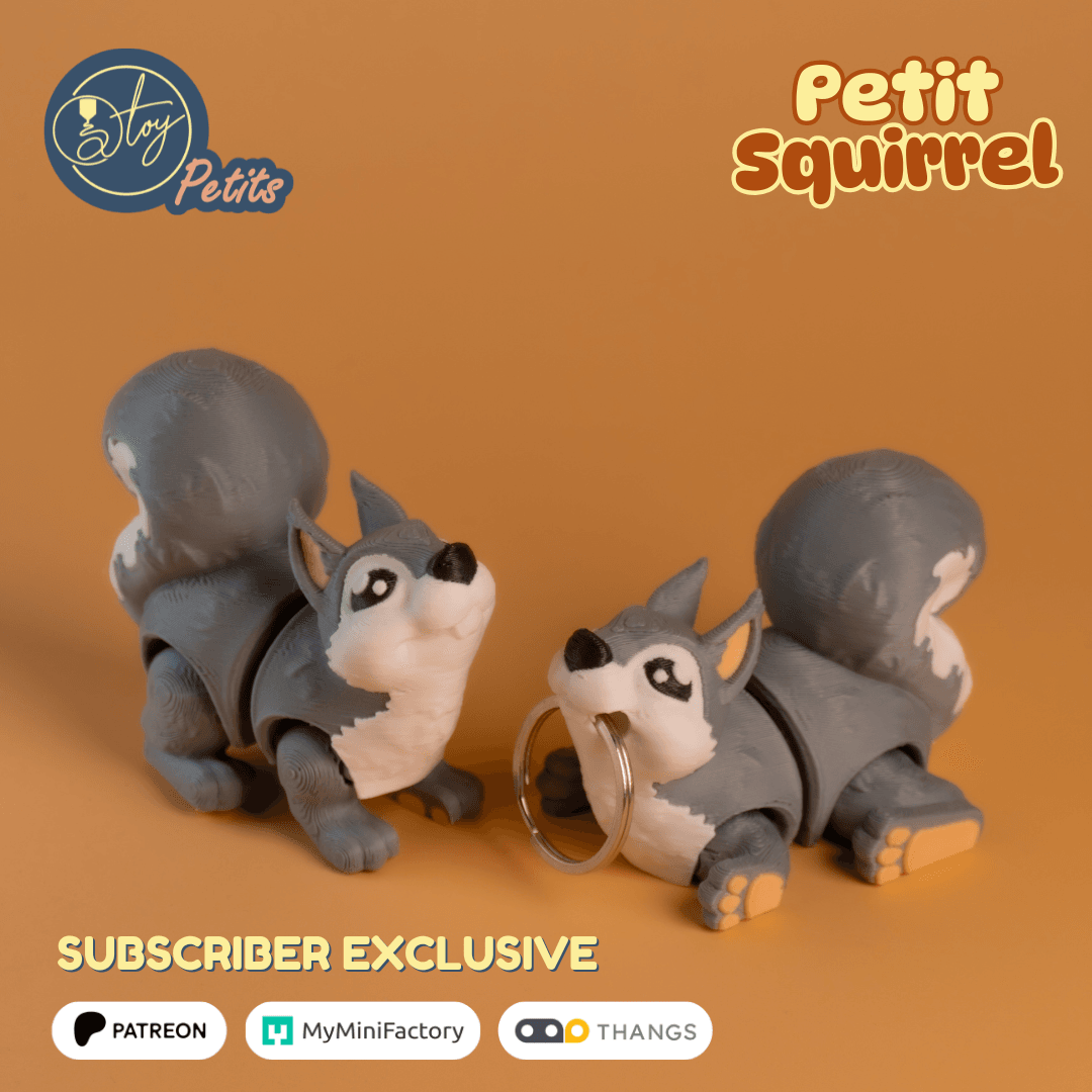 Petit Squirrel 3d model