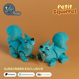 Petit Squirrel 3d model