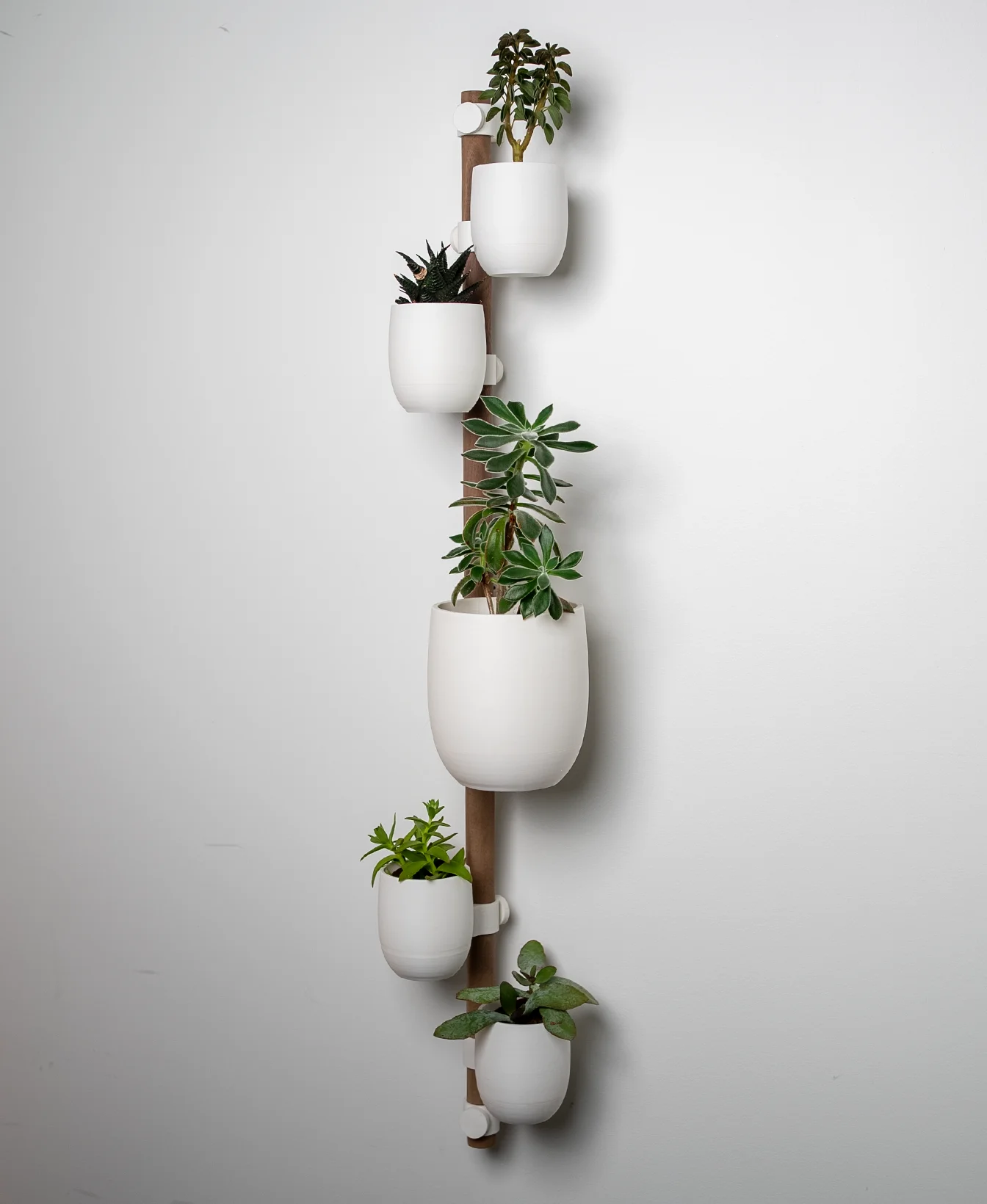The Rail 3d model