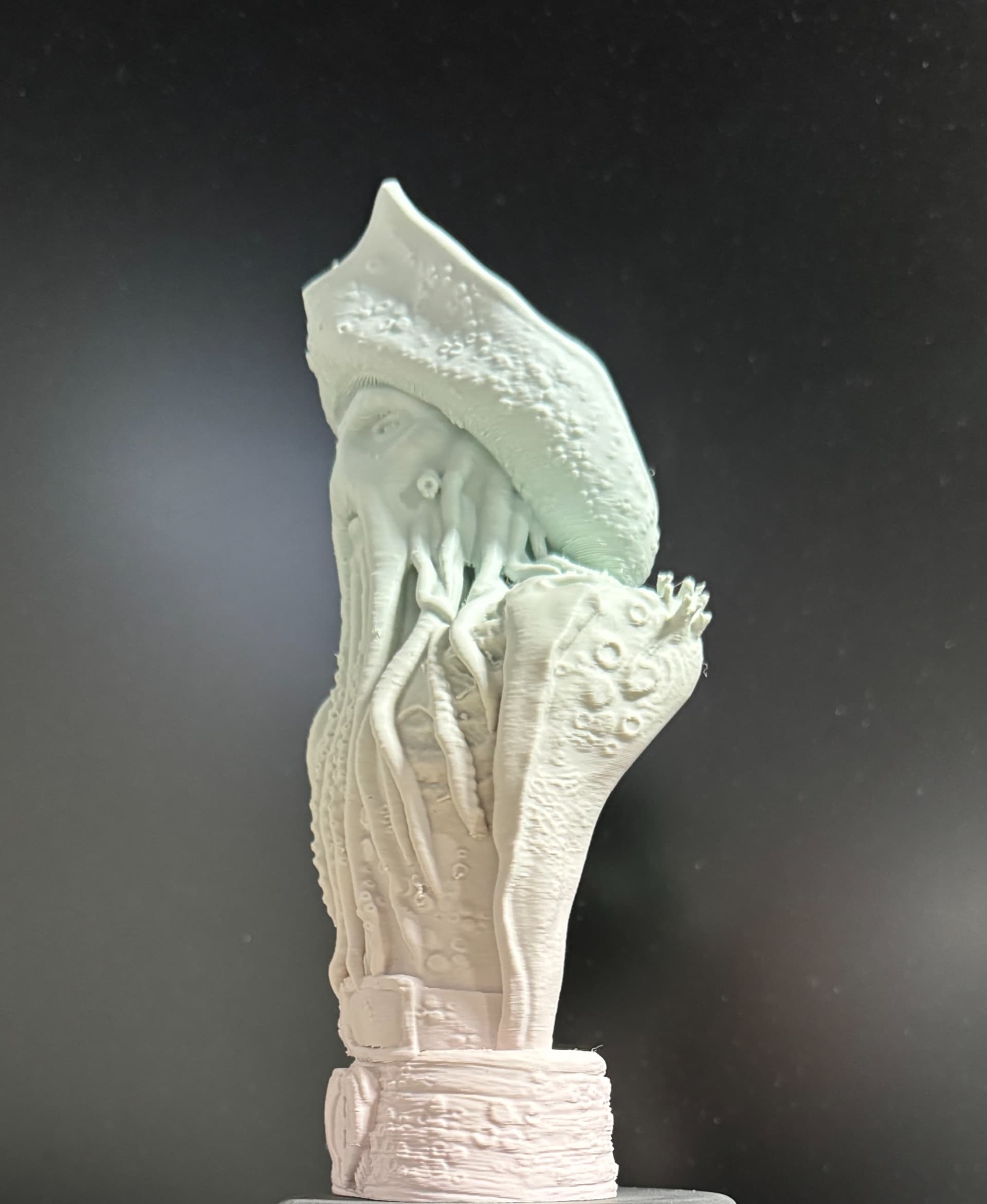 Printed on Bambu P1S
with Inland PLA `Matte Rainbow`