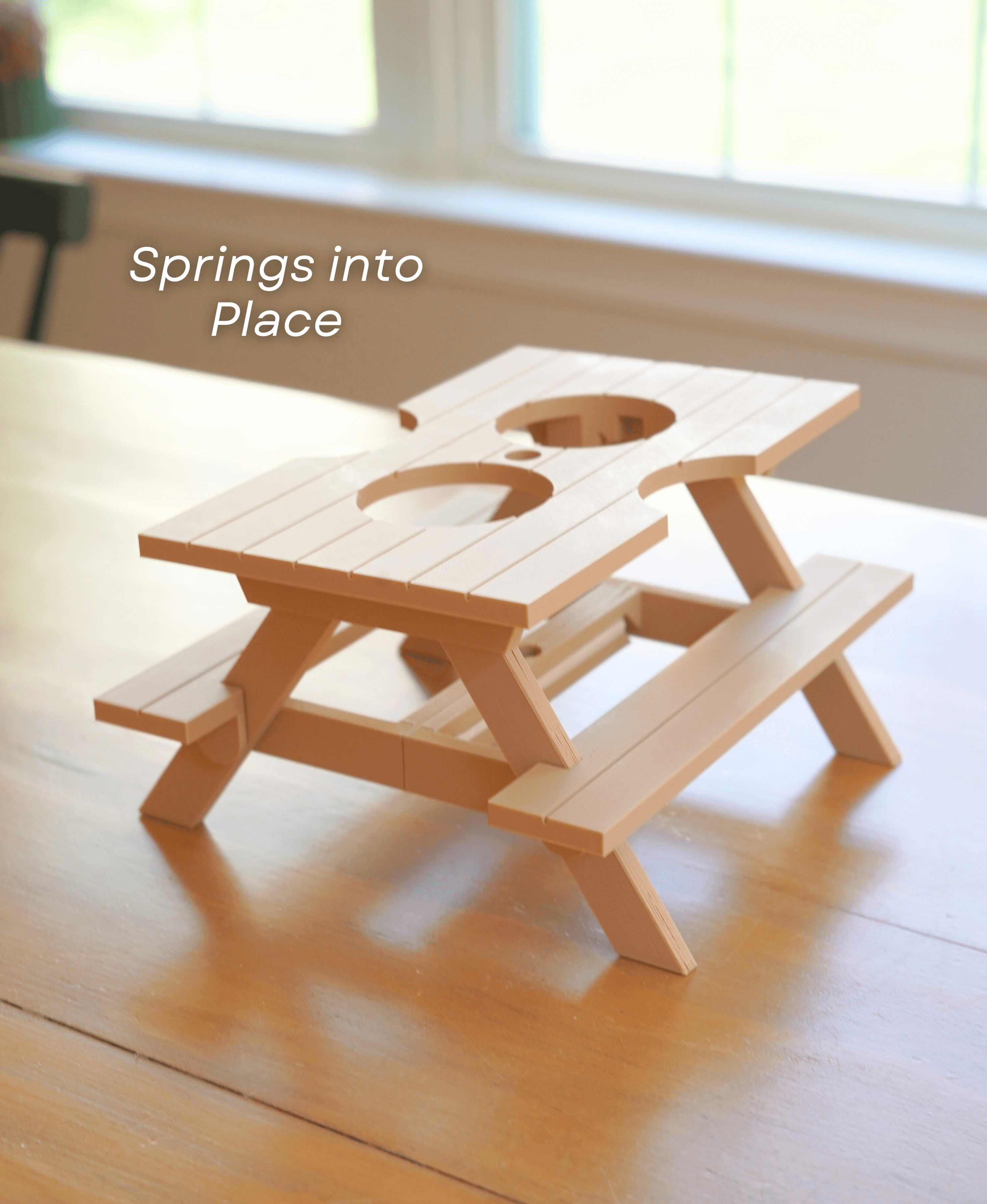 Picnic Table Condiment Caddy 3d model