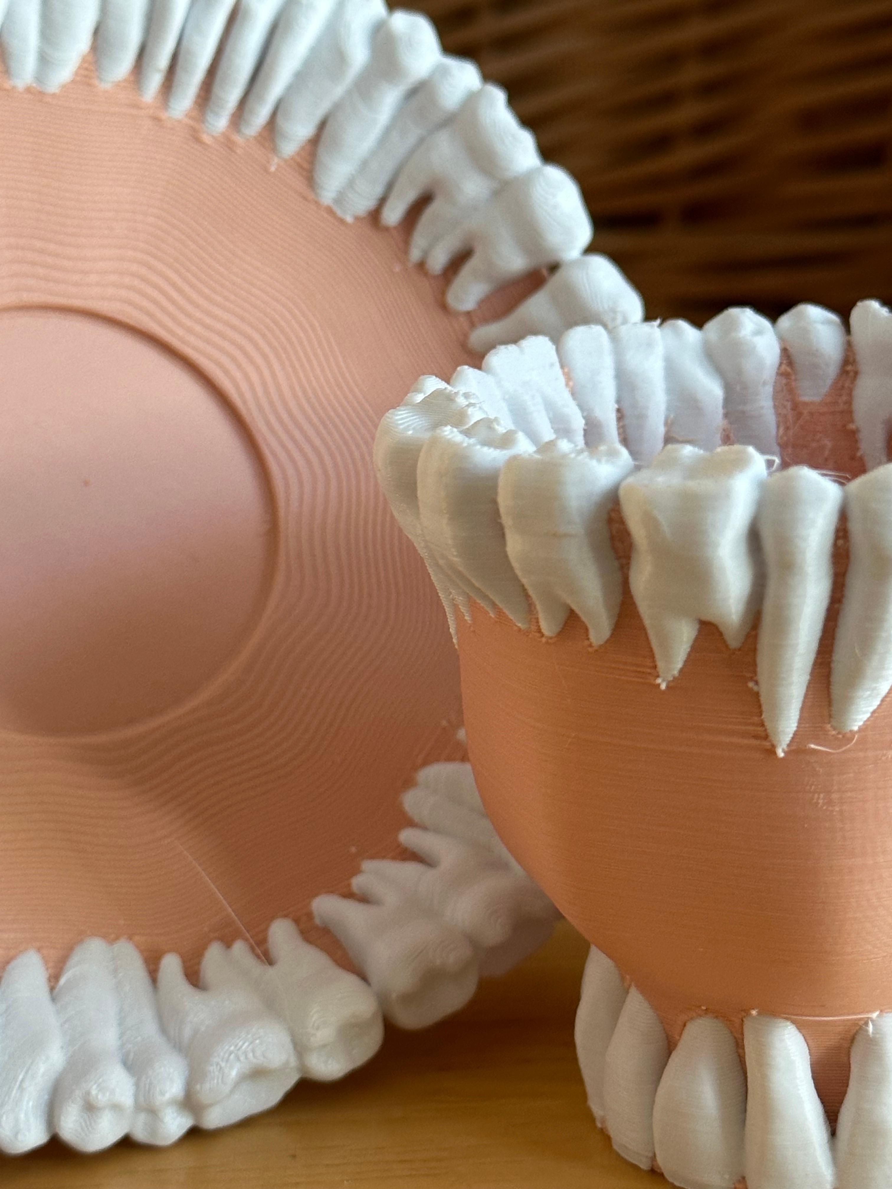 Cup of Teeth - Saucer 3d model