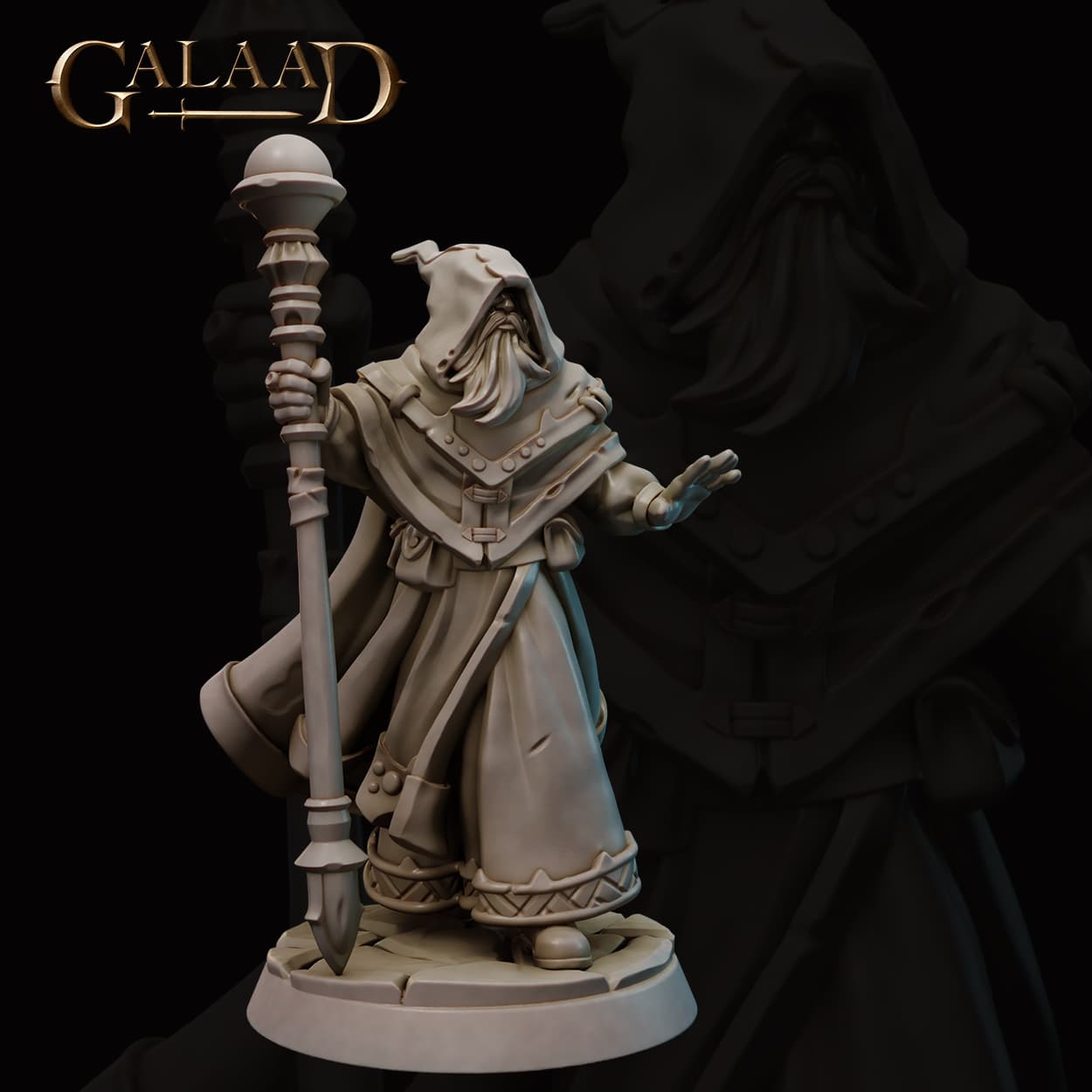 Wizard of the Queen 3d model