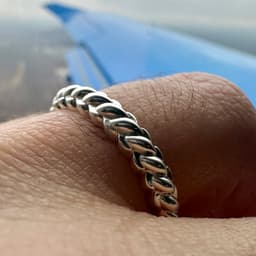 Reversed Torque Ring 3d model
