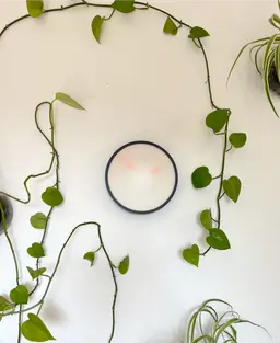 Blurry -The Fading Time Wall Clock 3d model