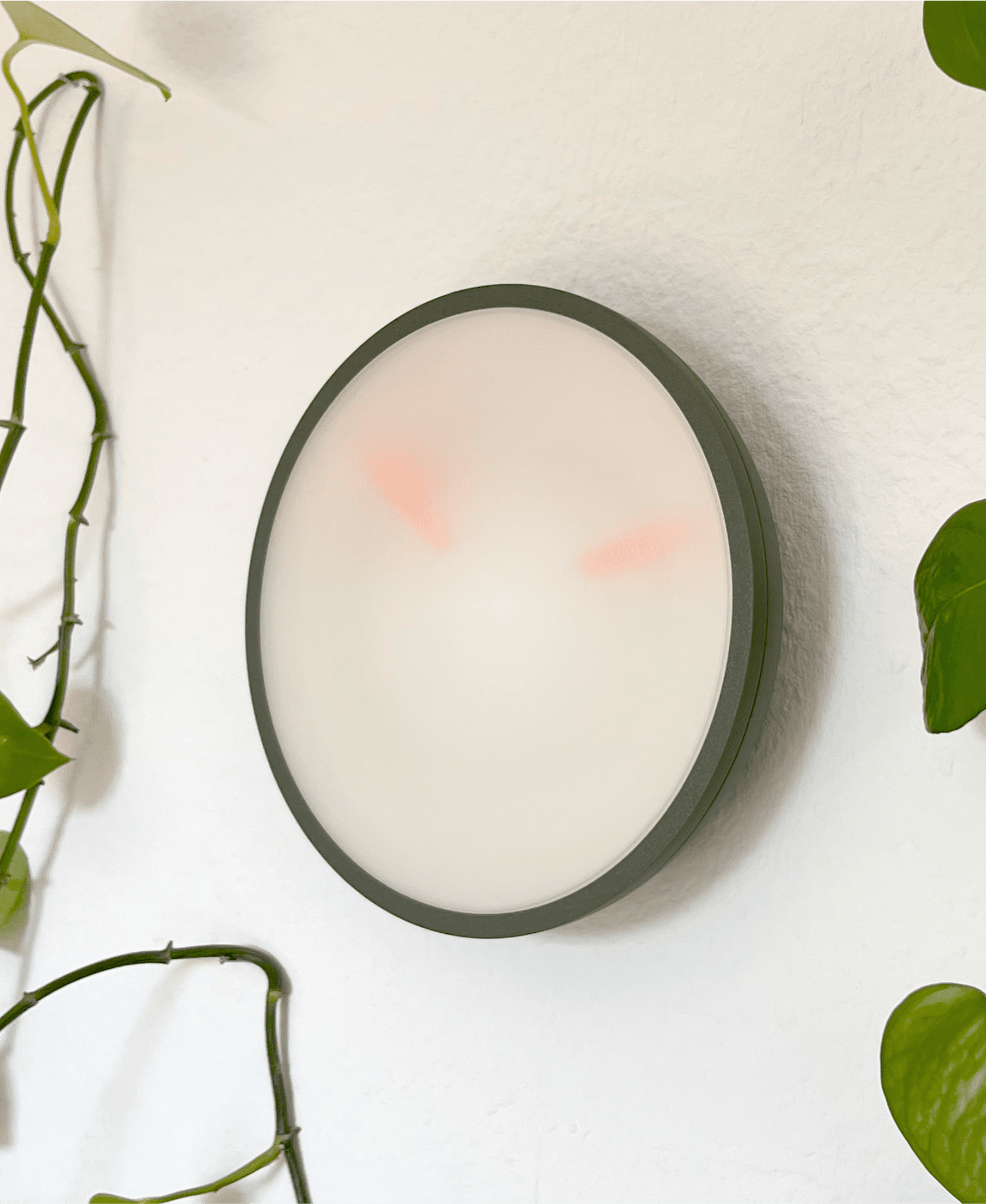 Blurry -The Fading Time Wall Clock 3d model