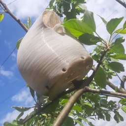 Balloon Birdhouse 3d model