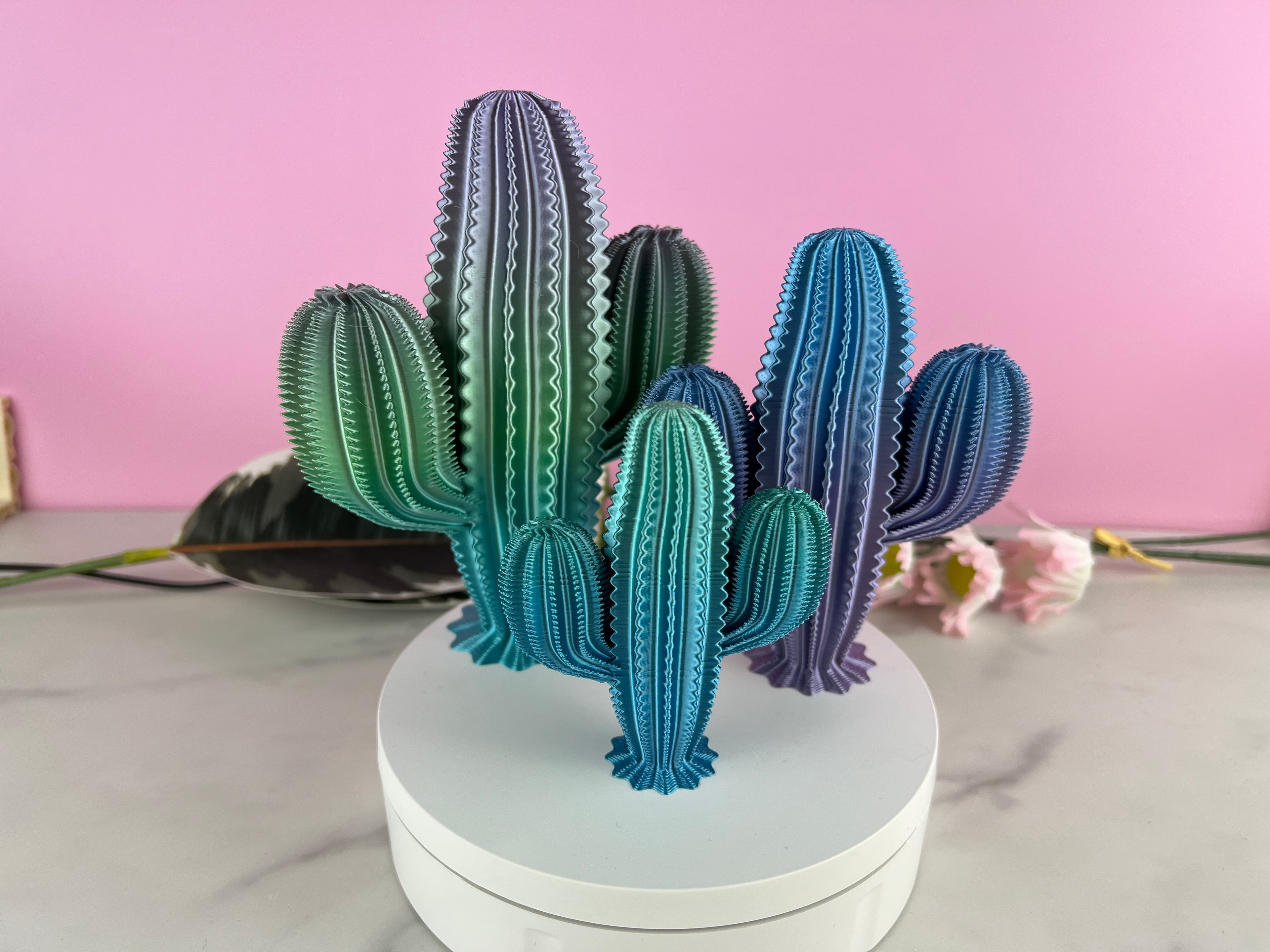 Saguaro Cactus 3d model