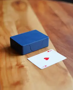 Ceru Card Case 3d model