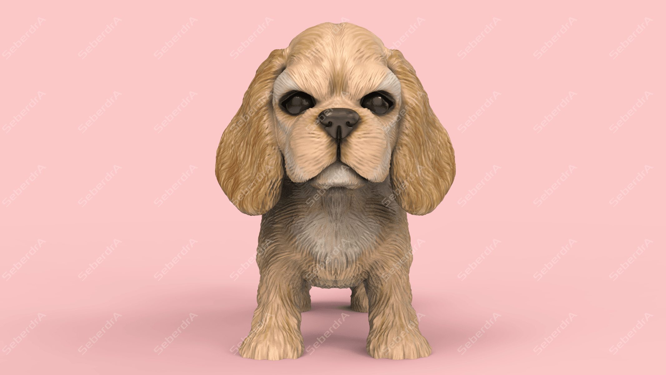 American Cocker Spaniel 3d model