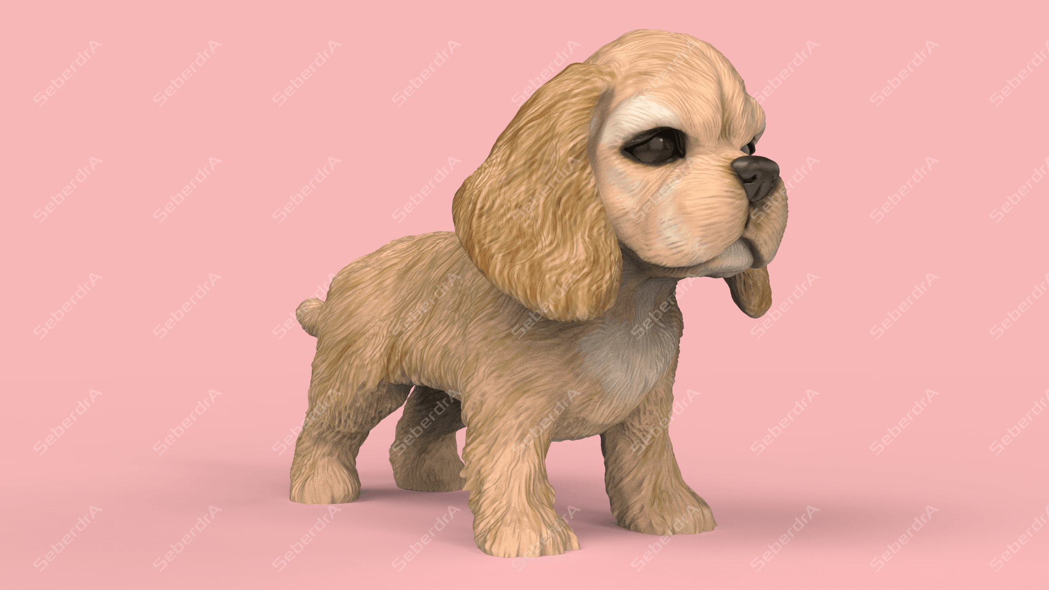 American Cocker Spaniel 3d model