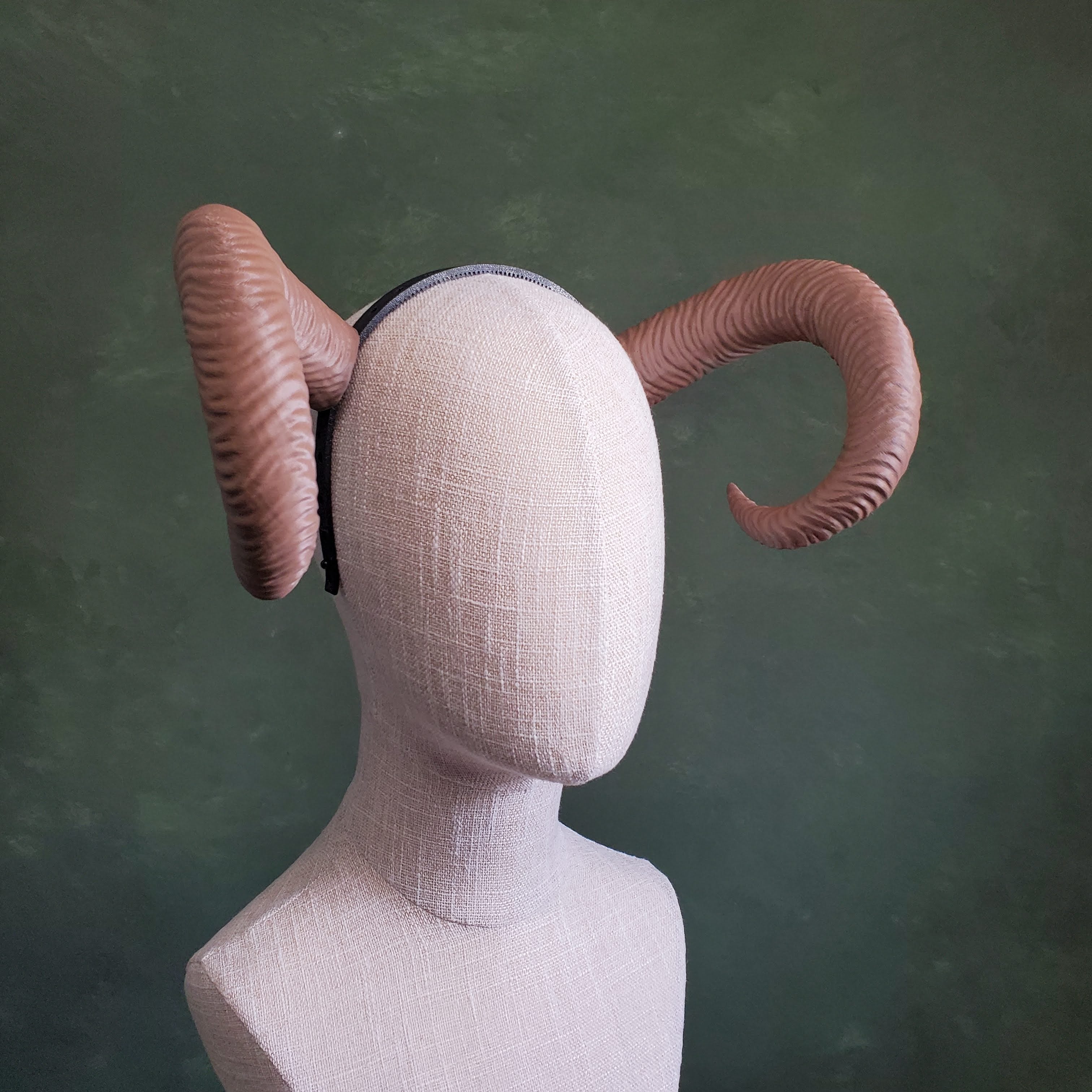 Celine | Medium Curled Horns 3d model