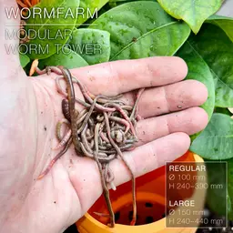 WORMFARM | Modular Composting Worm Tower 3d model