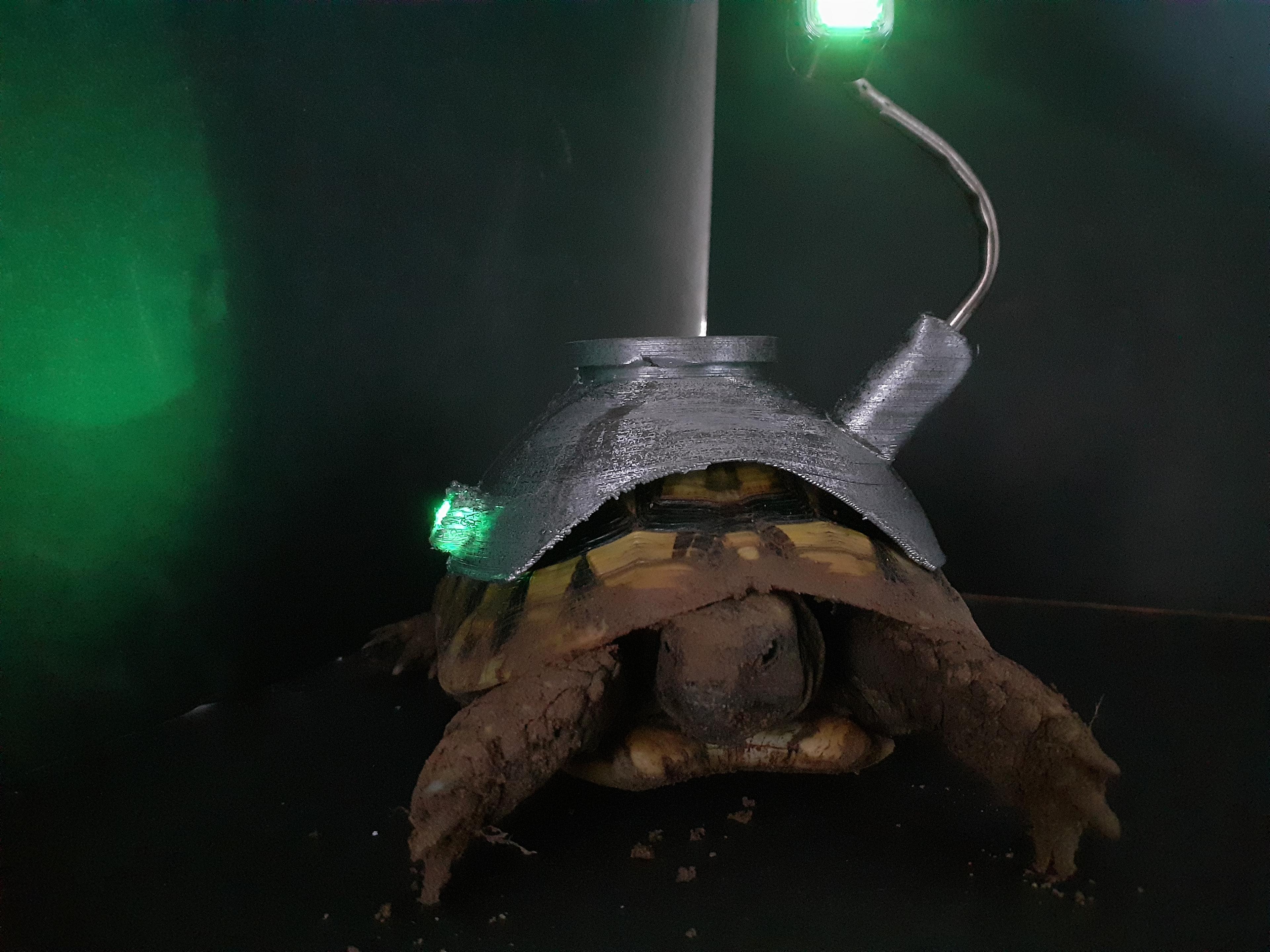 Tortoise of Borg #HalloWearables #HalloWearable 3d model