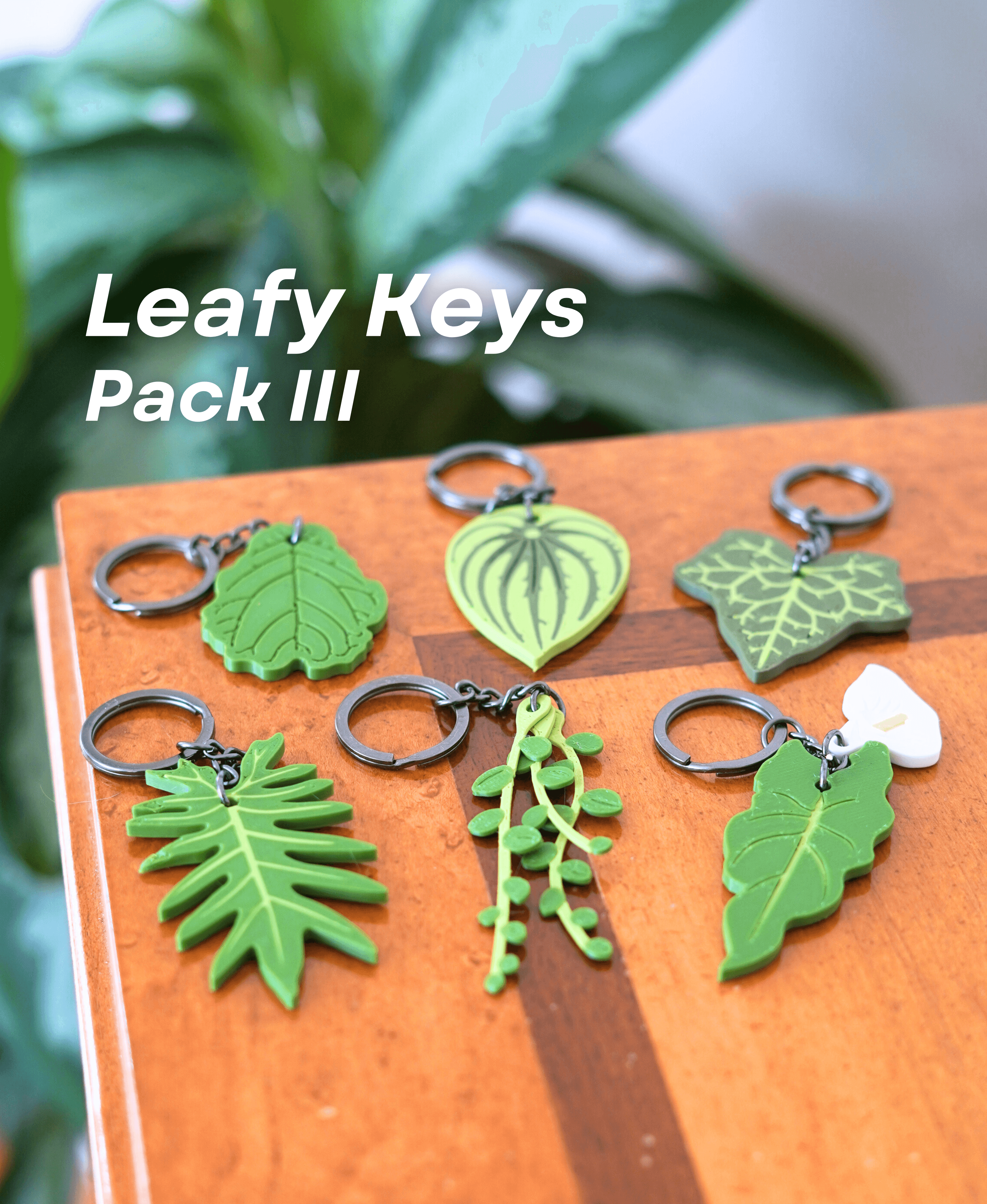 Leafy Keys Pack III - Houseplant Keychains - For Car Key Ring and House Keys 3d model
