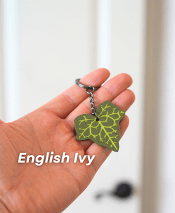 Leafy Keys Pack III - Houseplant Keychains - For Car Key Ring and House Keys 3d model