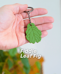 Leafy Keys Pack III - Houseplant Keychains - For Car Key Ring and House Keys 3d model