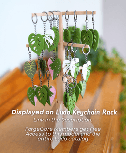 Leafy Keys Pack III - Houseplant Keychains - For Car Key Ring and House Keys 3d model