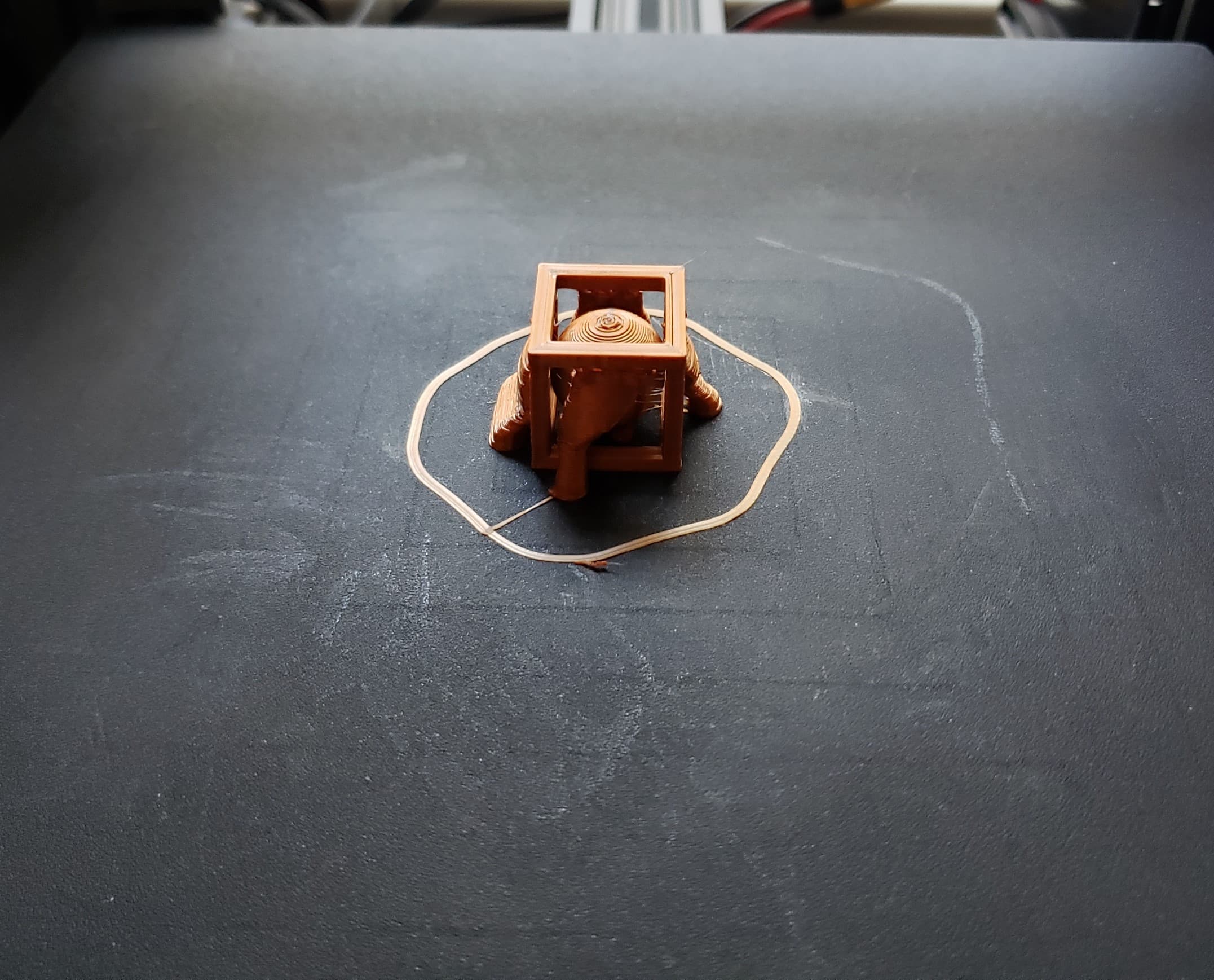 Printed at 1000%
Using Tree Supports