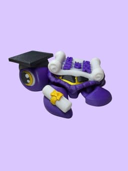2026 Graduation Turtle 3d model