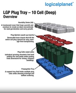 Deep Cell Plug Tray – 2×5 Modular Seed Starter System 3d model