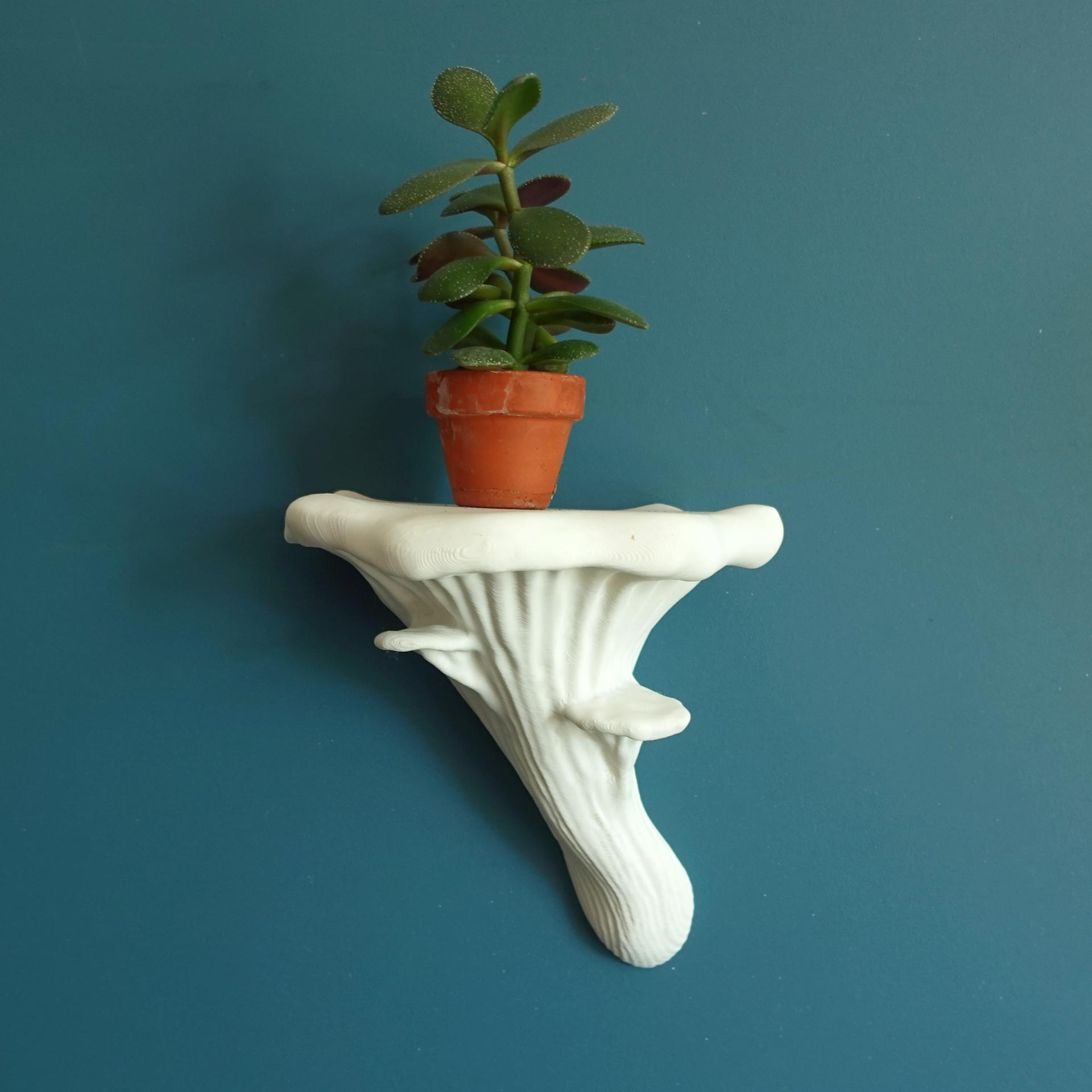 Wall shelf “Oyster fungus” 3d model